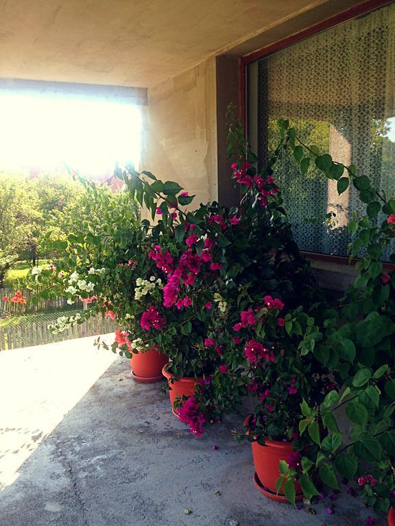 Casa Renti Hotel Novaci-Straini Bagian luar foto